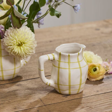 Picnic Pitcher