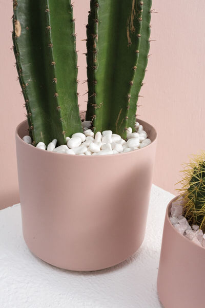 White Natural Stones