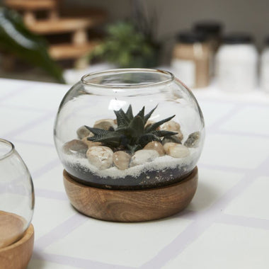 Full View Terrarium