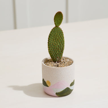 Mojave Mountains Pot