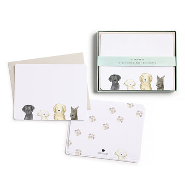 Dog Days Boxed Flat Notes