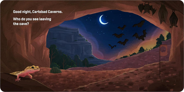 Good Night, National Parks