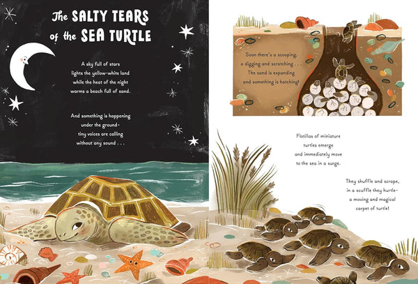 5-Minute Ocean Stories