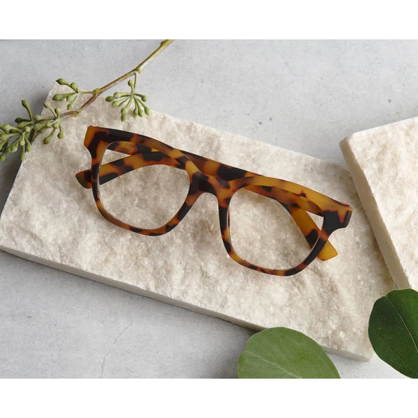 Zinnia: Tokyo Tortoise