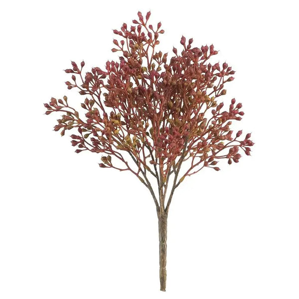 Seed Bush