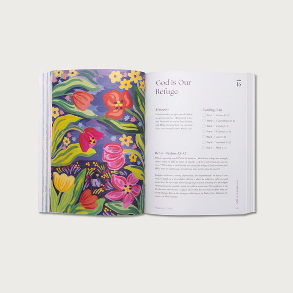 A Beautiful Year in the Bible