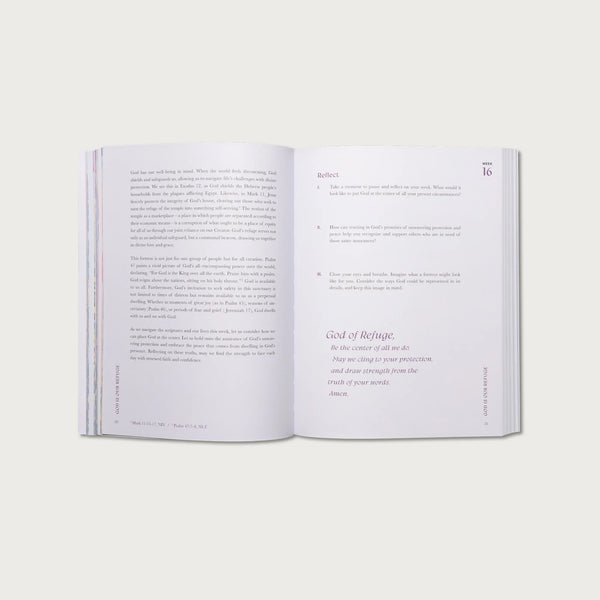 A Beautiful Year in the Bible