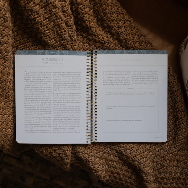 A Year In The Bible: Volumes 1-4