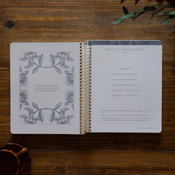 A Year In The Bible: Volumes 1-4