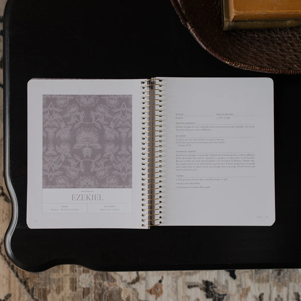 A Year In The Bible: Volumes 1-4