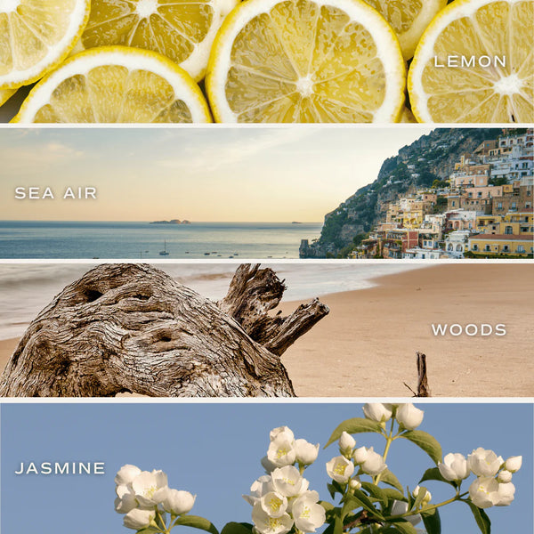 Coastal Lemon Candle - Blue Windows