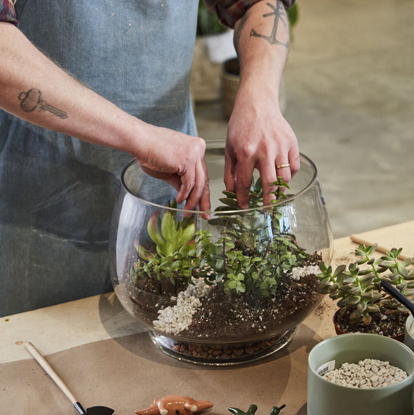 Discovery Terrarium