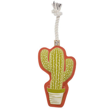 Cactus Rope Toy