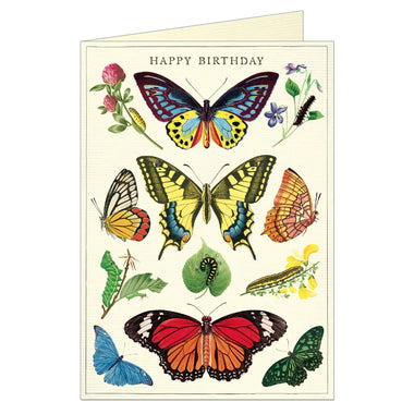Happy Birthday Butterflies