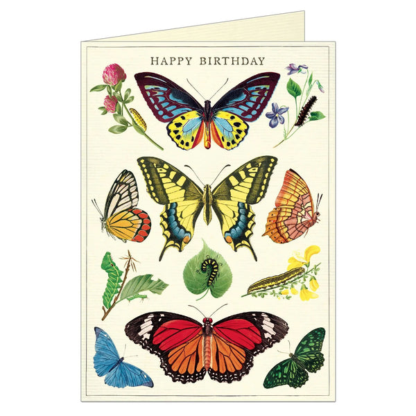 Happy Birthday Butterflies