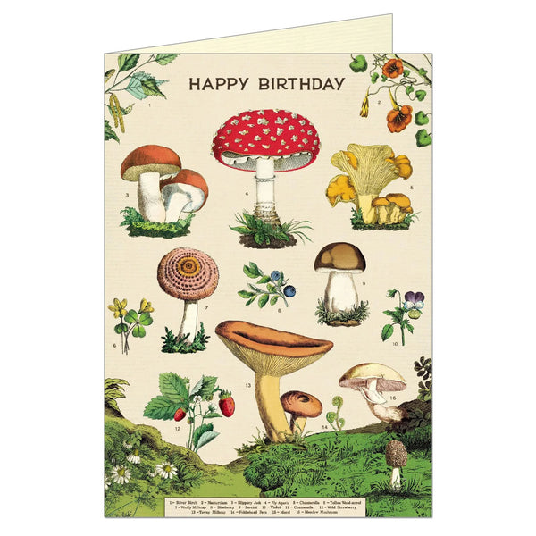 Happy Birthday Mushrooms