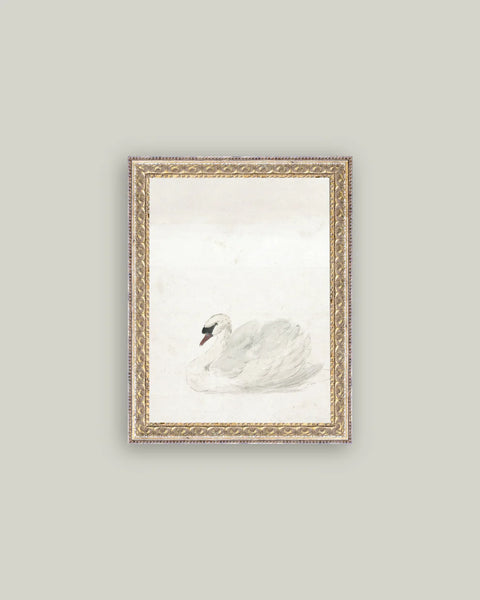 Swan Framed Art