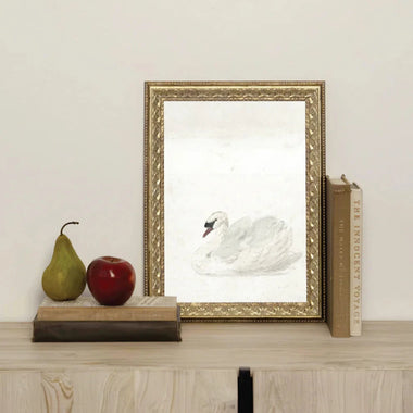 Swan Framed Art