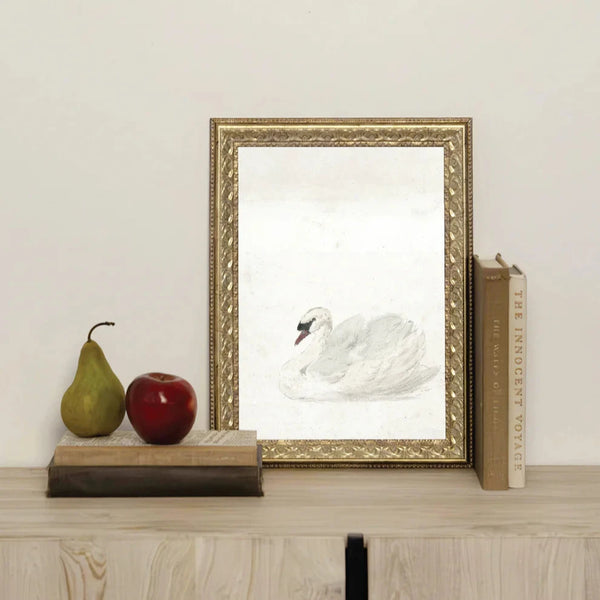 Swan Framed Art