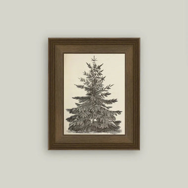 Vintage Pine Tree Framed Art