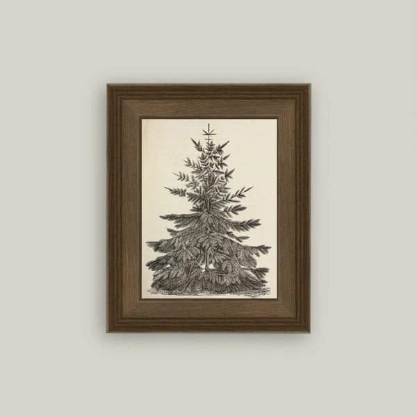 Vintage Pine Tree Framed Art