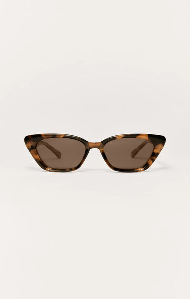 Staycation: Brown Tortoise