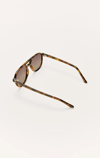Tourist: Brown Tortoise