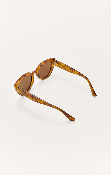 Golden Hour: Brown Tortoise