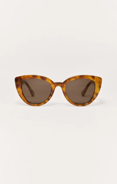 Golden Hour: Brown Tortoise
