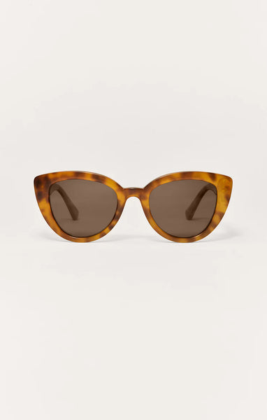 Golden Hour: Brown Tortoise