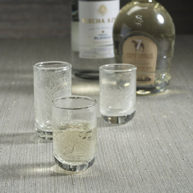 Handmade Etched Tequila Shot Glass Set