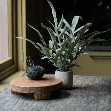 Artificial Eucalyptus in Pot