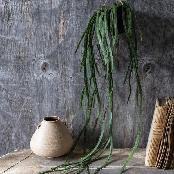 Artificial Trailing Cactus