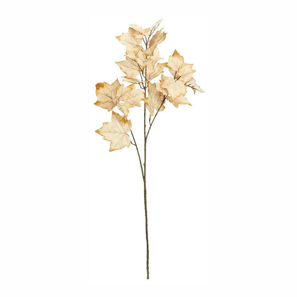 Maple Leaf Spray