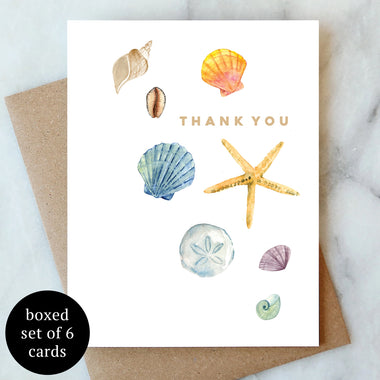 Boxed Shells Thank You