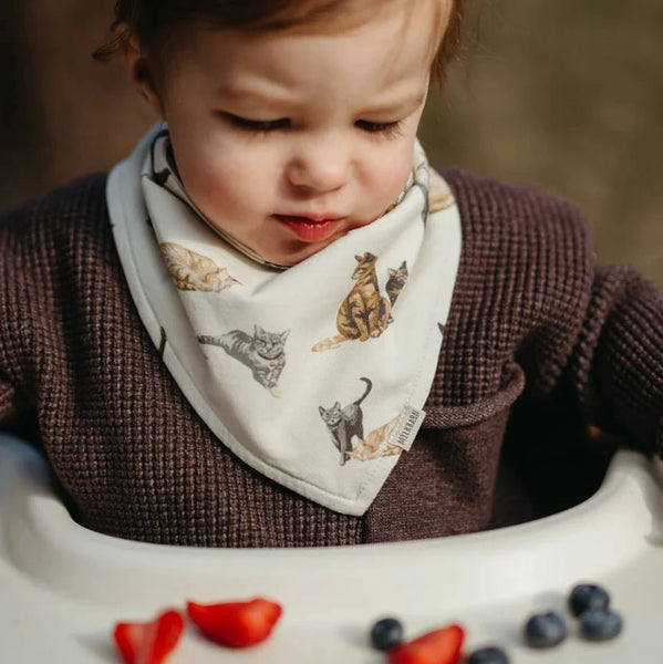 Kitty Cat Kerchief Bib