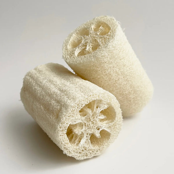 Natural Loofah Sponge