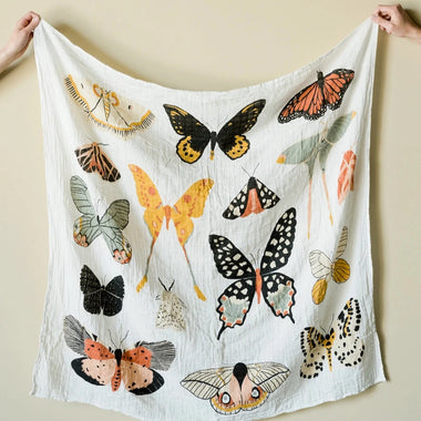 Butterfly Collector Swaddle