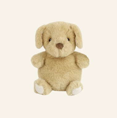 Peanut Petit Puppy
