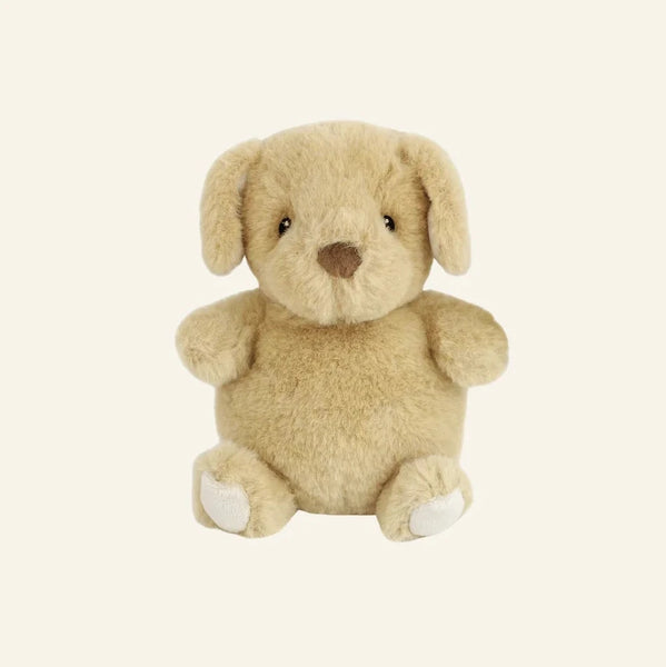 Peanut Petit Puppy