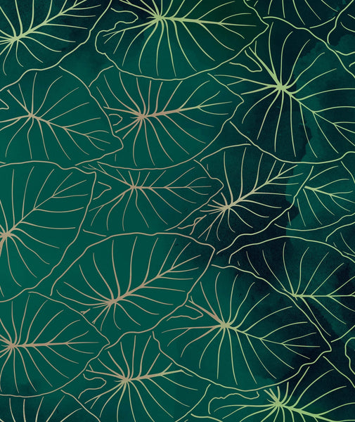 Kalo Pareo Coverup: Green