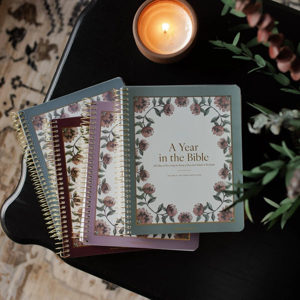 A Year In The Bible: Volumes 1-4