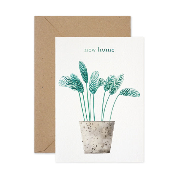 New Home Potted Plant